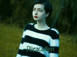 Pileacadieri