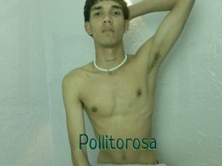 Pollitorosa