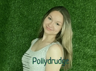Pollydrudge
