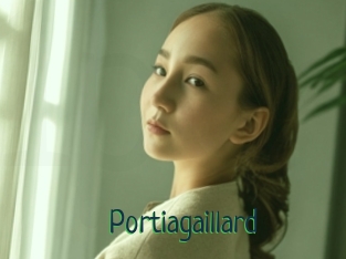 Portiagaillard