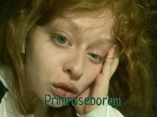 Primroseborom