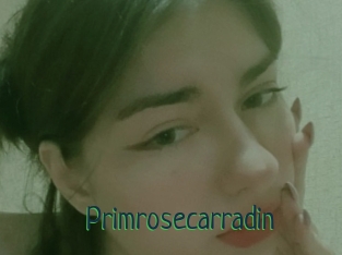 Primrosecarradin