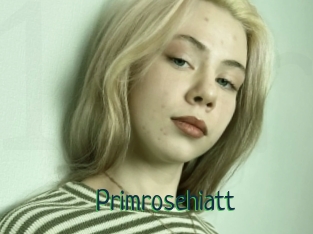 Primrosehiatt