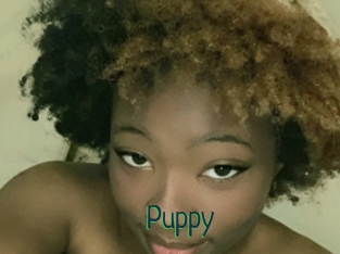 Puppy