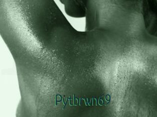 Pytbrwn69