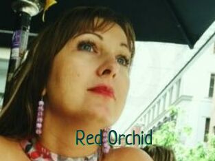 Red_Orchid