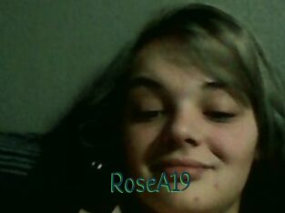 RoseA19