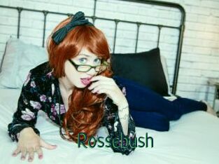 Rossebush