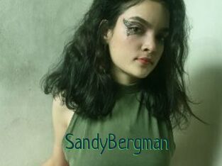 SandyBergman