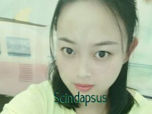 Scindapsus