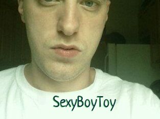 SexyBoyToy