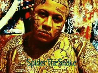 SpiderTheSnake