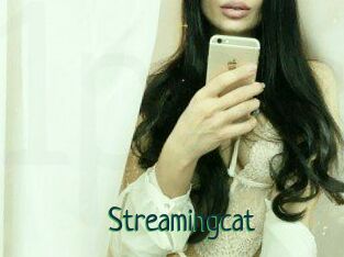 Streamingcat