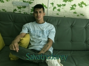 Salvatredelrey