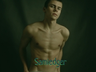 Samledger