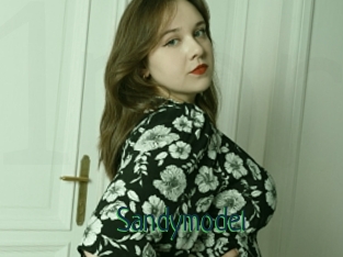 Sandymodel