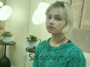 Sandyshayes