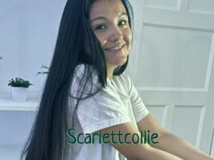 Scarlettcollie