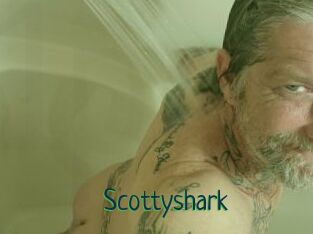Scottyshark