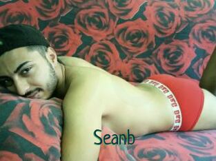 Seanb