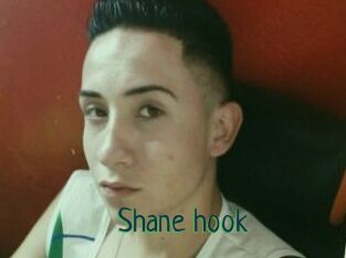 Shane_hook