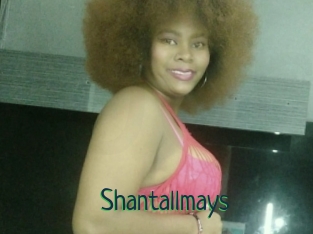 Shantallmays
