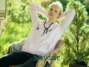 Silkydave