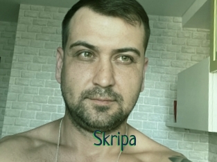 Skripa