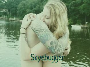 Skyebugger