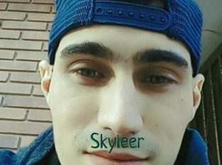 Skyleer