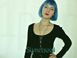 Skynetsoull