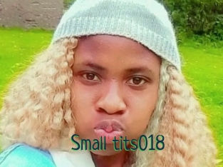 Small_tits018