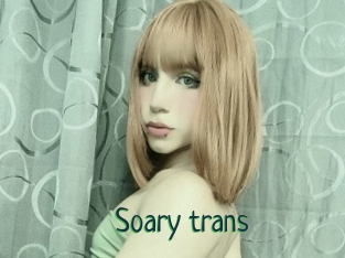 Soary_trans
