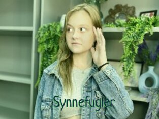 Synnefugler