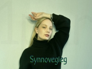 Synnovegleg
