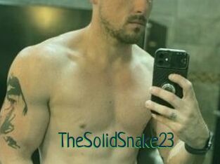 TheSolidSnake23