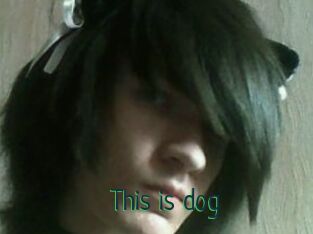 This_is_dog
