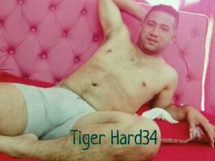 Tiger_Hard34