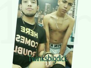 Twinksbigdick