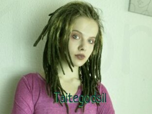 Taitegodsil