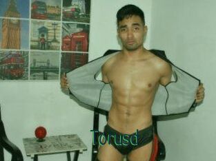 Torusd