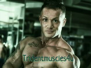 Tridentmuscles4u