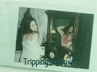 Trippingsunflower