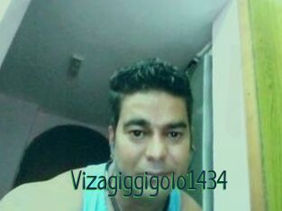 Vizagiggigolo1434