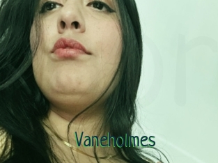 Vaneholmes