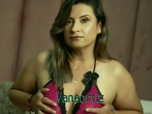 Vaneortiz