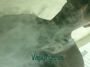 Vapor_genie