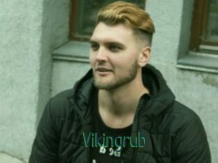 Vikingrub