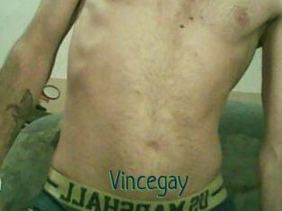 Vincegay