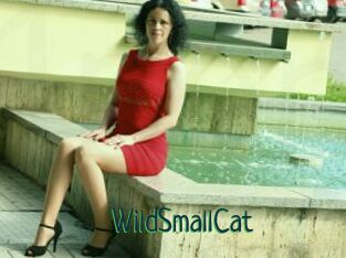 WildSmallCat